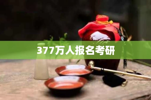 377万人报名考研