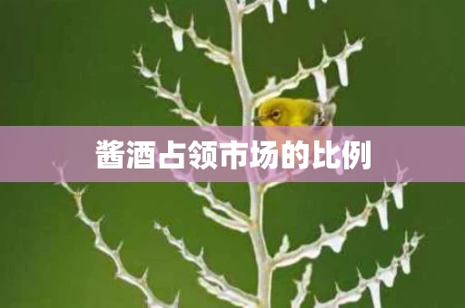 酱酒占领市场的比例