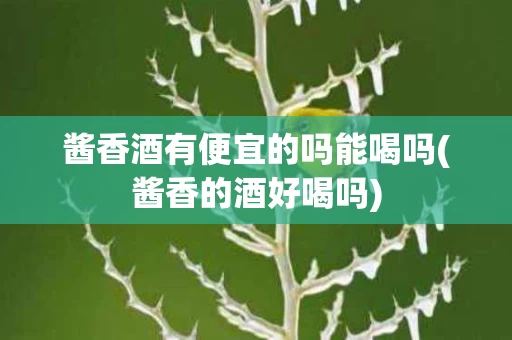 酱香酒有便宜的吗能喝吗(酱香的酒好喝吗)