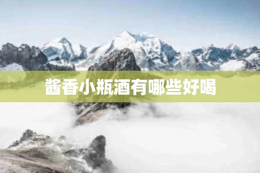 酱香小瓶酒有哪些好喝
