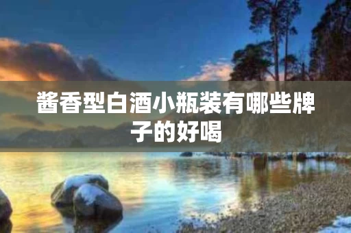 酱香型白酒小瓶装有哪些牌子的好喝