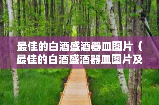 最佳的白酒盛酒器皿图片（最佳的白酒盛酒器皿图片及价格）