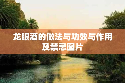 龙眼酒的做法与功效与作用及禁忌图片