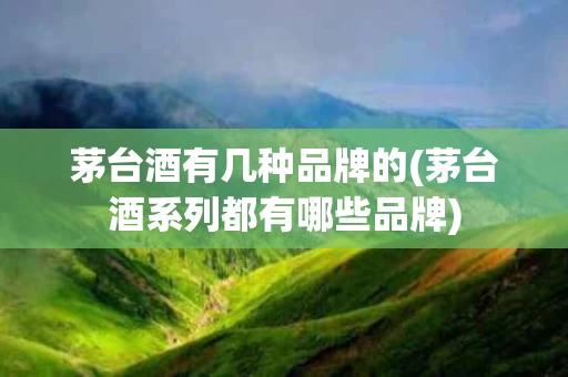 茅台酒有几种品牌的(茅台酒系列都有哪些品牌)
