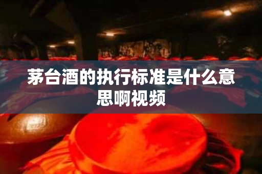 茅台酒的执行标准是什么意思啊视频