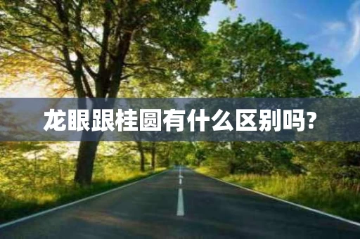 龙眼跟桂圆有什么区别吗?