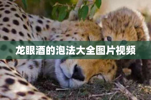 龙眼酒的泡法大全图片视频
