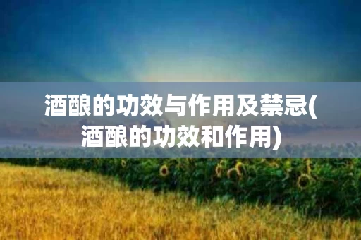 酒酿的功效与作用及禁忌(酒酿的功效和作用)