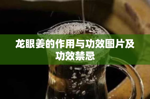 龙眼姜的作用与功效图片及功效禁忌 龙眼姜的作用与功效图片及功效禁忌
