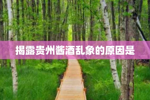 揭露贵州酱酒乱象的原因是