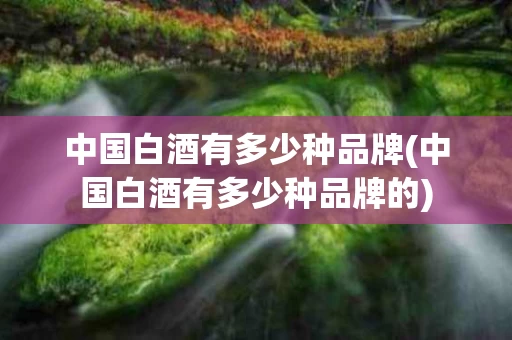 中国白酒有多少种品牌(中国白酒有多少种品牌的)