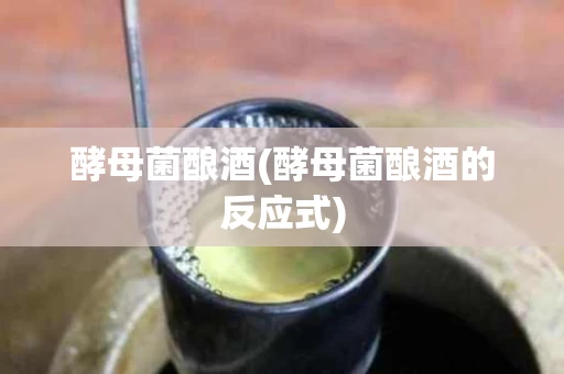 酵母菌酿酒(酵母菌酿酒的反应式)