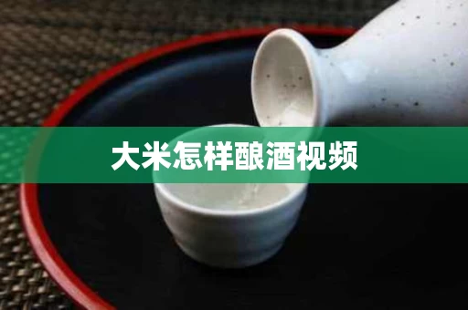 大米怎样酿酒视频