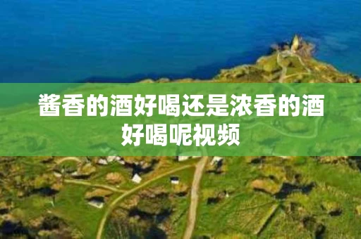 酱香的酒好喝还是浓香的酒好喝呢视频