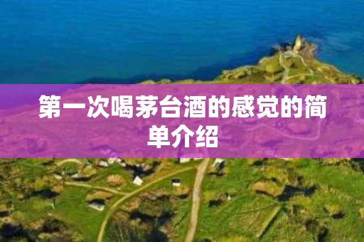 第一次喝茅台酒的感觉的简单介绍