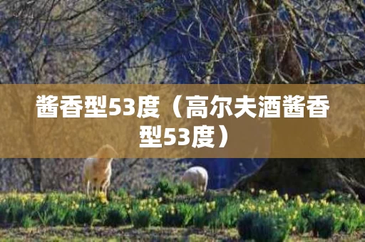 酱香型53度（高尔夫酒酱香型53度）