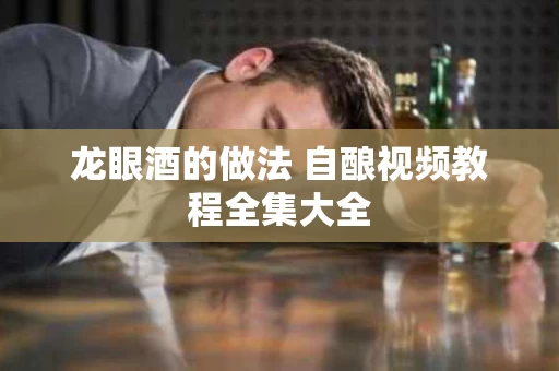 龙眼酒的做法 自酿视频教程全集大全