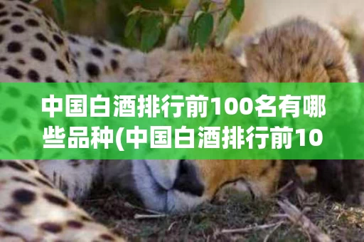 中国白酒排行前100名有哪些品种(中国白酒排行前100名有哪些品种名称)