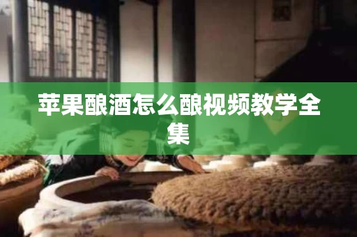 苹果酿酒怎么酿视频教学全集