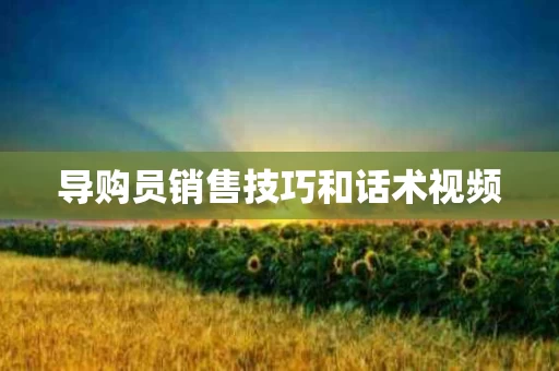 导购员销售技巧和话术视频