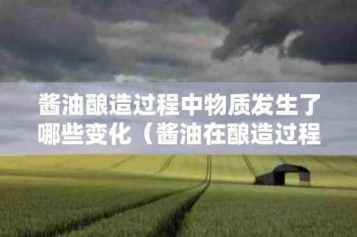 酱油酿造过程中物质发生了哪些变化（酱油在酿造过程中什么发挥了主要作用）
