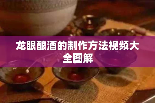 龙眼酿酒的制作方法视频大全图解