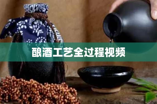 酿酒工艺全过程视频