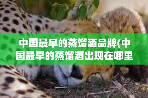 中国最早的蒸馏酒品牌(中国最早的蒸馏酒出现在哪里)