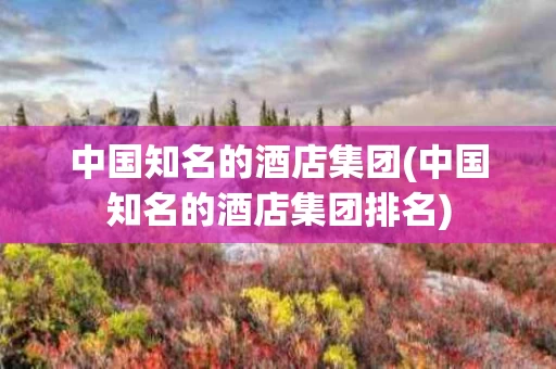 中国知名的酒店集团(中国知名的酒店集团排名)
