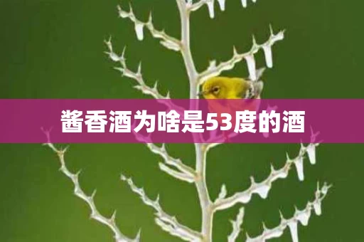 酱香酒为啥是53度的酒