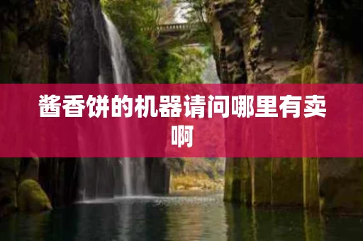 酱香饼的机器请问哪里有卖啊