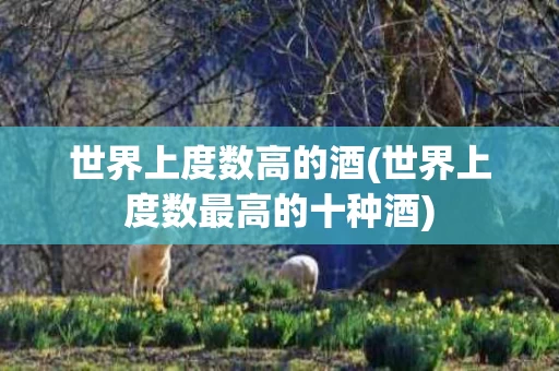 世界上度数高的酒(世界上度数最高的十种酒)