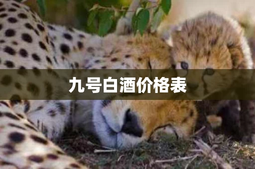 九号白酒价格表