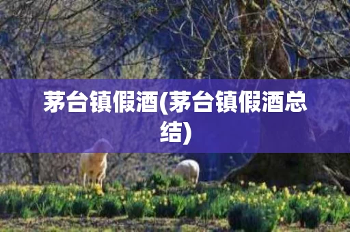茅台镇假酒(茅台镇假酒总结)