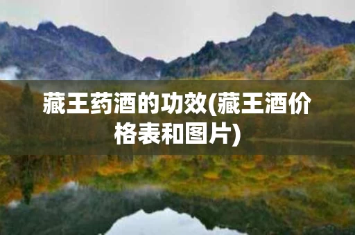 藏王药酒的功效(藏王酒价格表和图片)