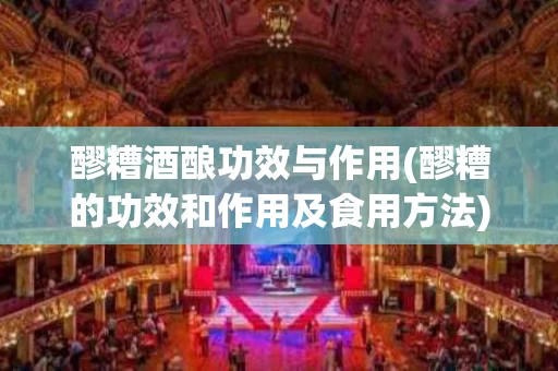 醪糟酒酿功效与作用(醪糟的功效和作用及食用方法)