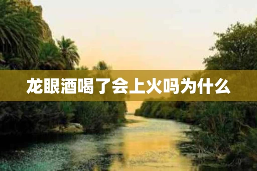 龙眼酒喝了会上火吗为什么