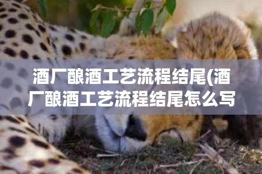 酒厂酿酒工艺流程结尾(酒厂酿酒工艺流程结尾怎么写)