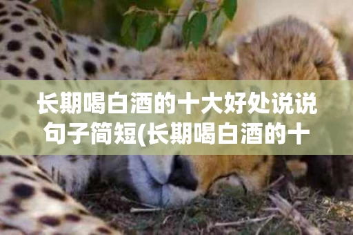 长期喝白酒的十大好处说说句子简短(长期喝白酒的十大好处说说句子简短一点)