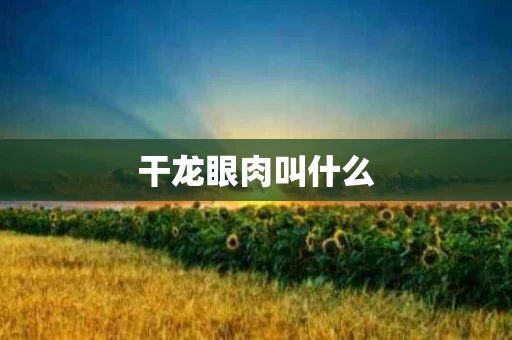 干龙眼肉叫什么