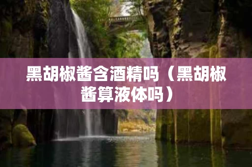 黑胡椒酱含酒精吗（黑胡椒酱算液体吗）