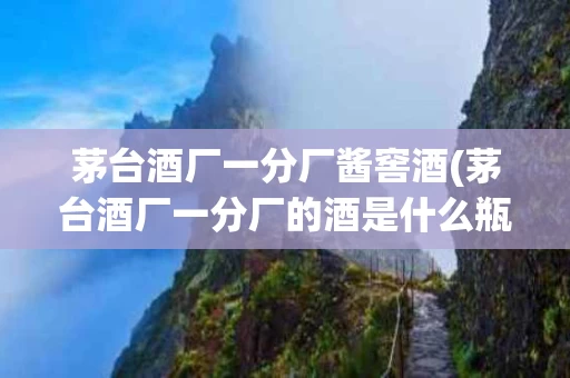 茅台酒厂一分厂酱窖酒(茅台酒厂一分厂的酒是什么瓶)