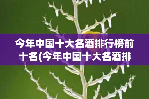 今年中国十大名酒排行榜前十名(今年中国十大名酒排行榜前十名有哪些)