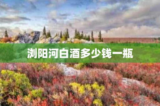 浏阳河白酒多少钱一瓶
