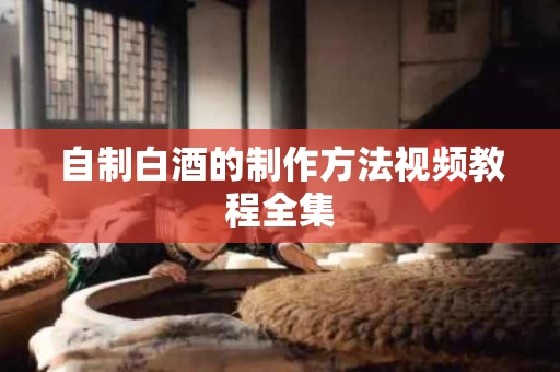 自制白酒的制作方法视频教程全集