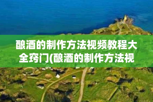 酿酒的制作方法视频教程大全窍门(酿酒的制作方法视频教程大全窍门图片)