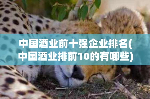 中国酒业前十强企业排名(中国酒业排前10的有哪些)
