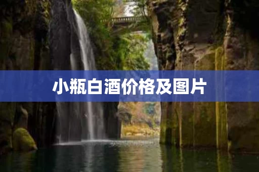 小瓶白酒价格及图片