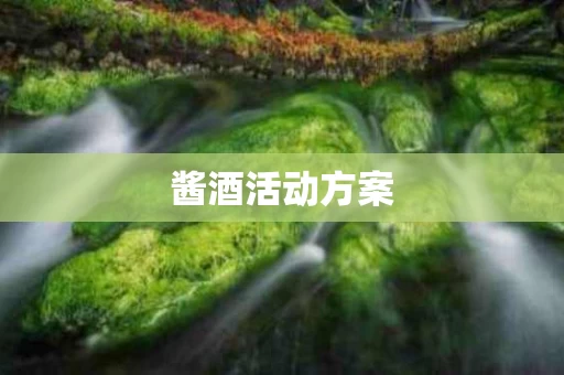 酱酒活动方案