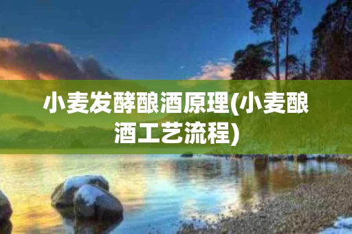 小麦发酵酿酒原理(小麦酿酒工艺流程)